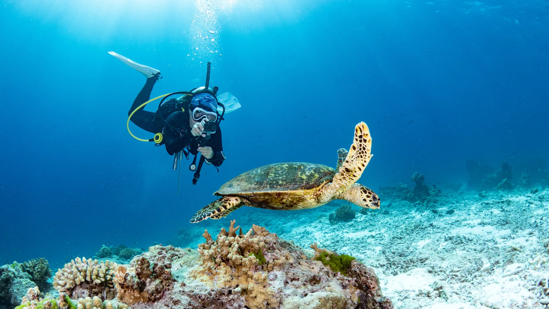 Foto de Almar Tours