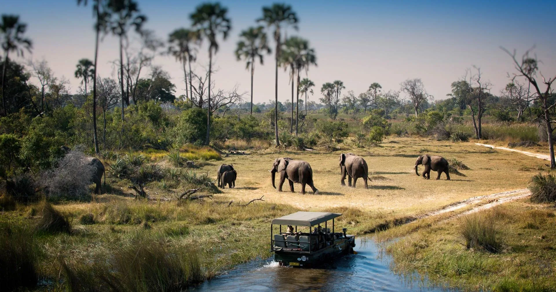 Foto de Parque Nacional de Chobe