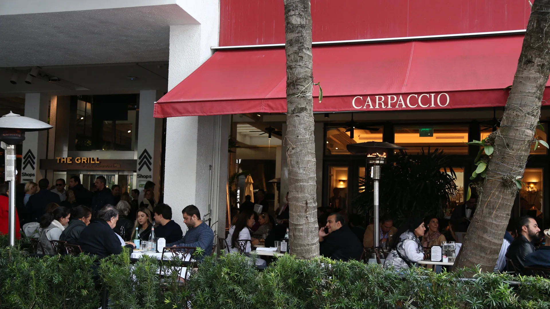Foto de Carpaccio