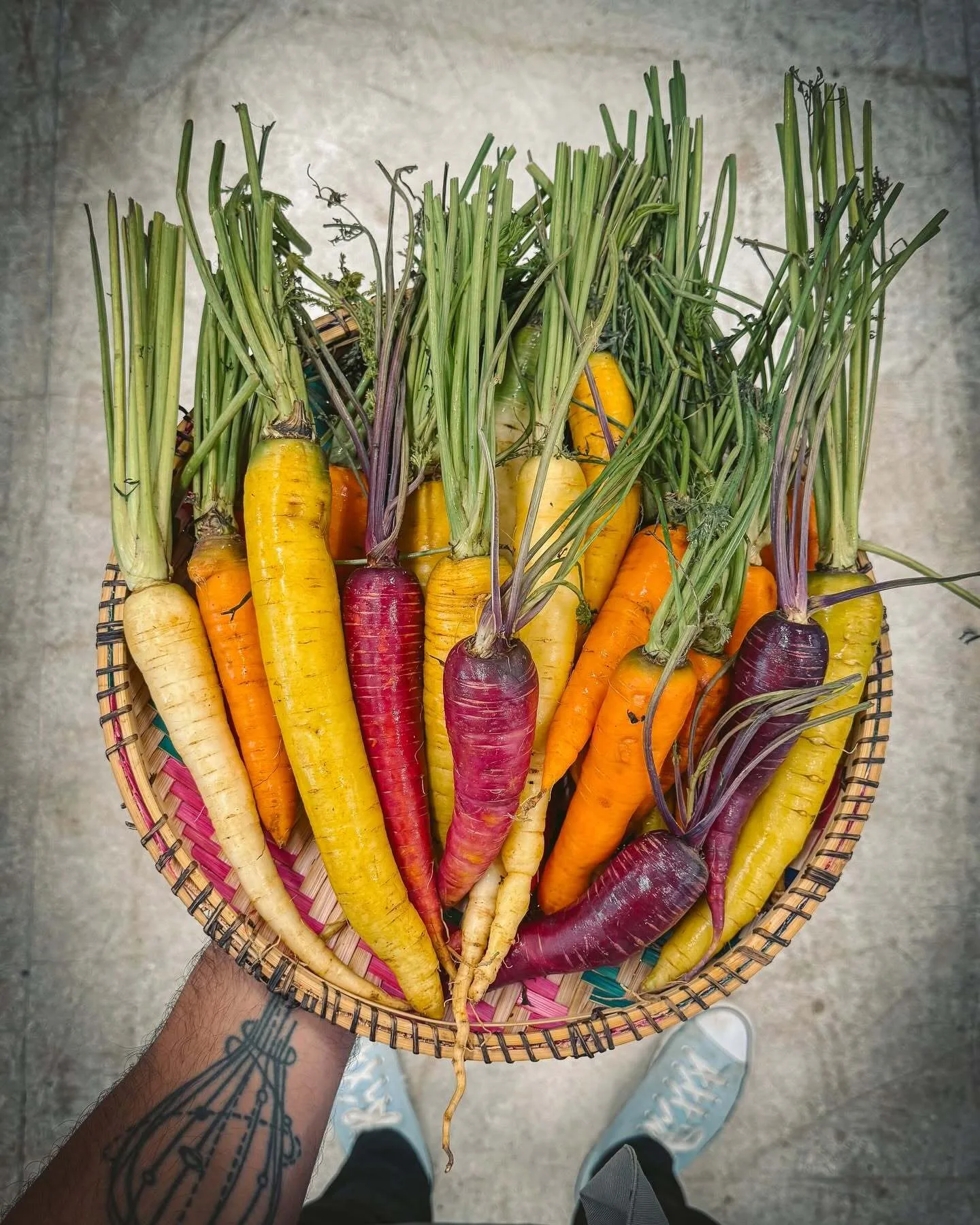 Foto de Cultiva Farm Kenya
