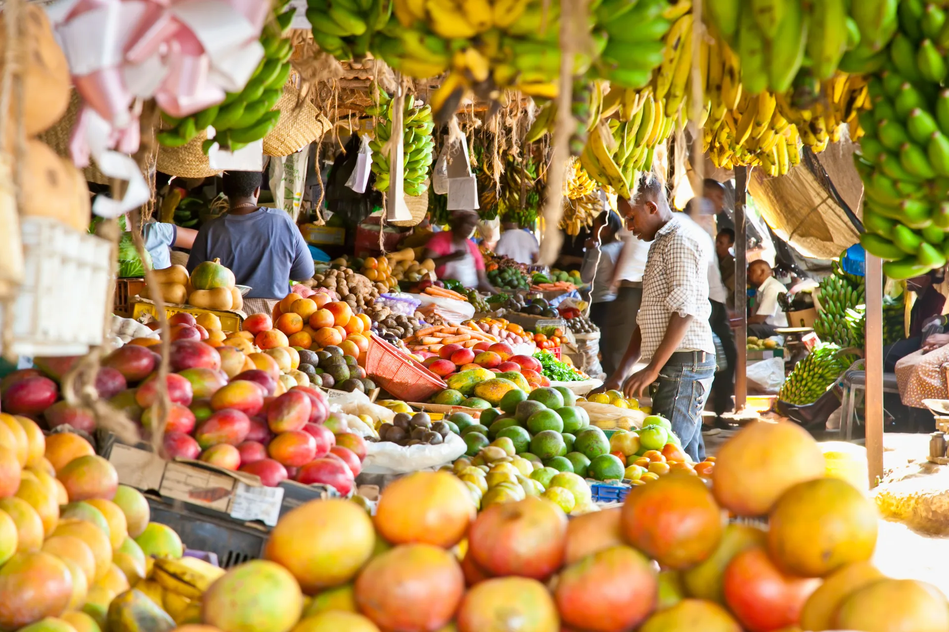 Foto de Marula Green Market