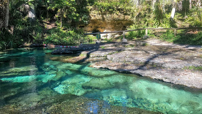 Foto de Kelly Park Rock Springs
