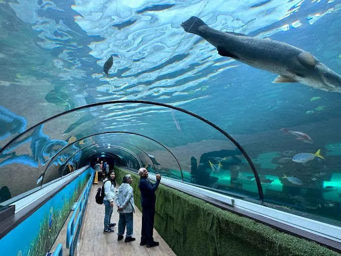 Foto de Aquário de Sydney