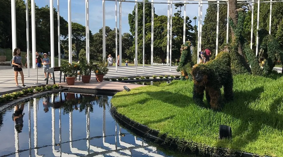 Foto de Jardim Botânico Real de Sydney