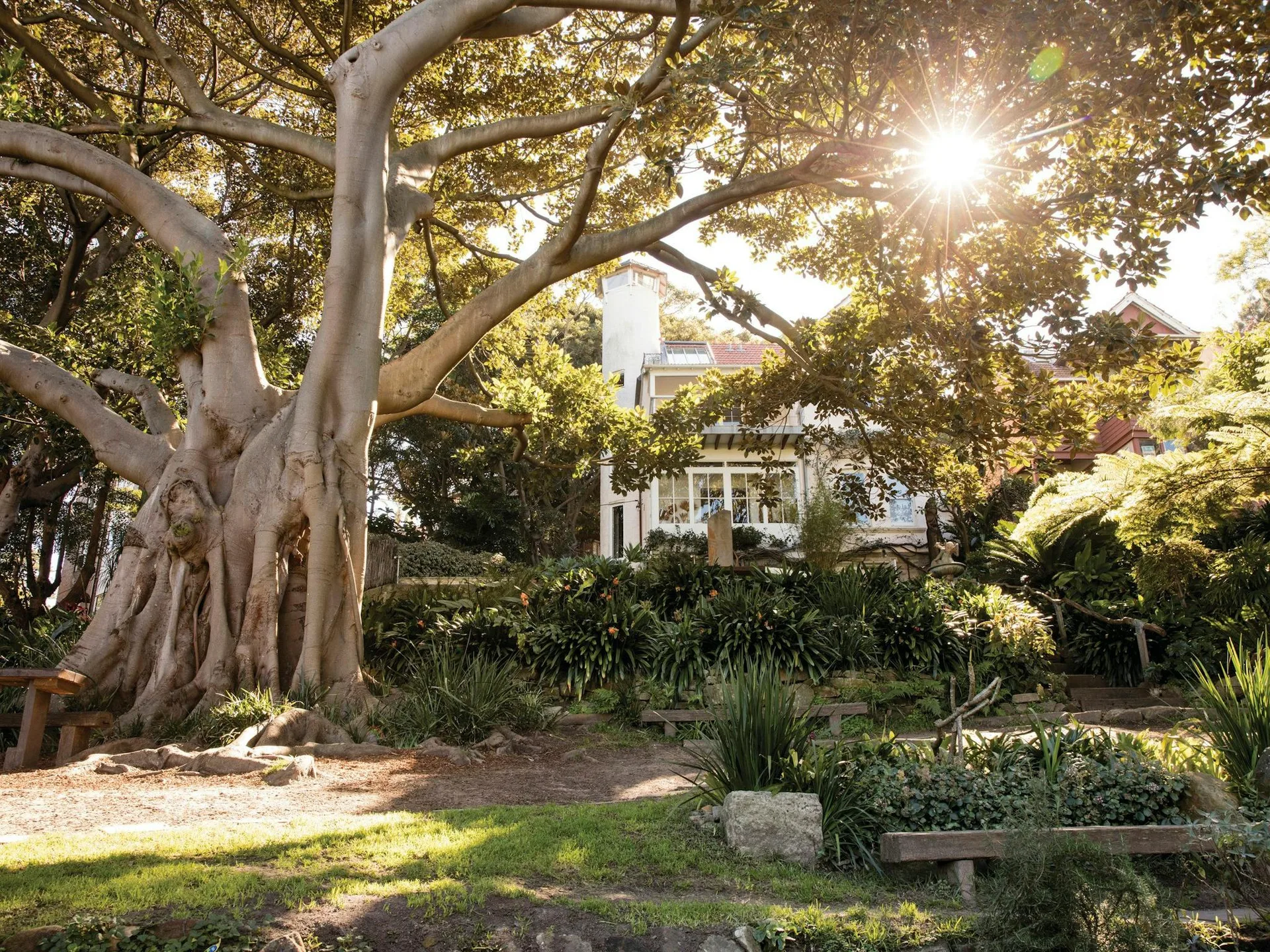 Foto de Wendy Whiteley's Secret Garden