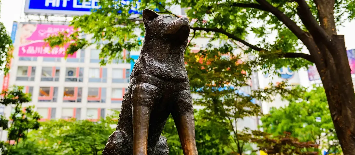 Foto de Hachiko Statue