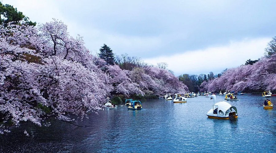 Foto de Parque Inokashira